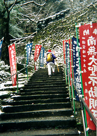 45番岩尾寺の中の300段の階段。